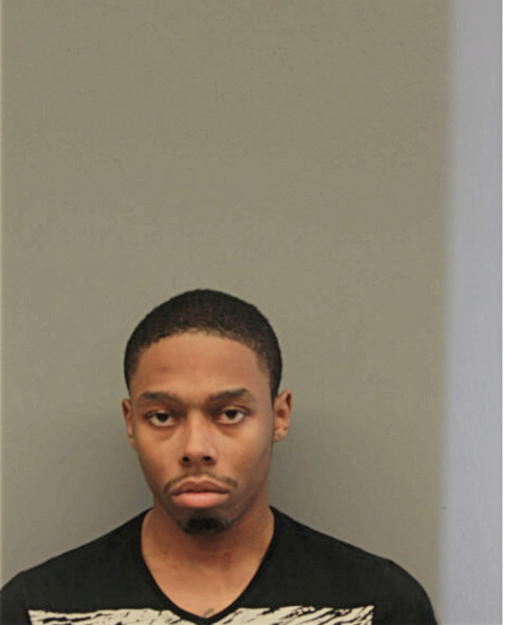 DAVID T JOHNSON, Cook County, Illinois