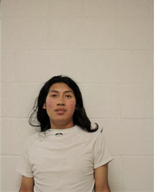 WALTER LANDI, Cook County, Illinois