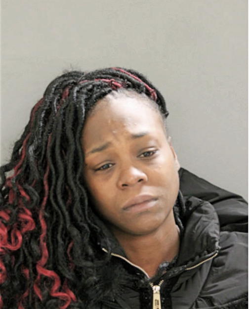 TIESHA N LANE, Cook County, Illinois