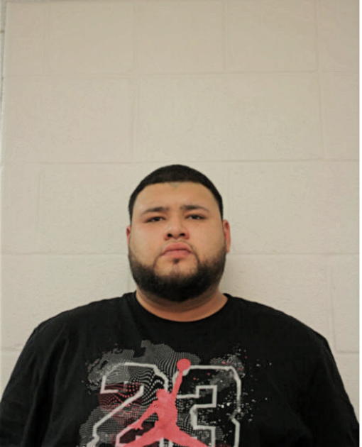 LUIS A LOPEZ, Cook County, Illinois