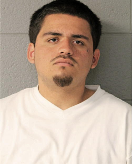 CARLOS G MONTANEZ, Cook County, Illinois