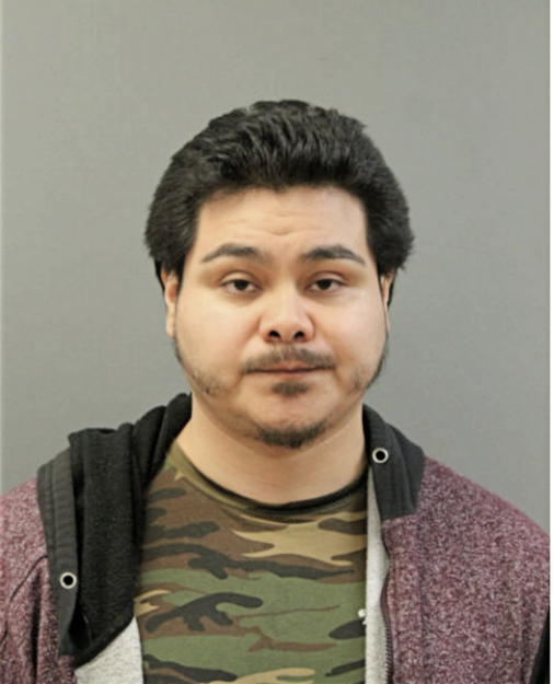 ERIK J MORALES, Cook County, Illinois