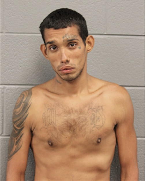 HECTOR NUNEZ, Cook County, Illinois