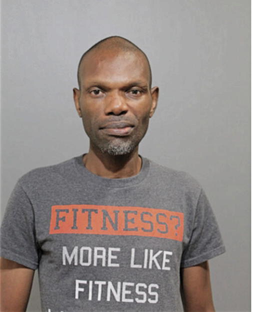 BABATUNDE T OWOADE, Cook County, Illinois