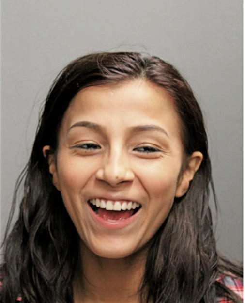 JENNIFER R PINEDO, Cook County, Illinois
