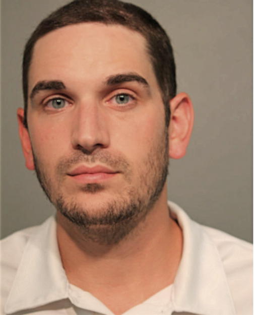 JUSTIN A SCHNEIDER, Cook County, Illinois
