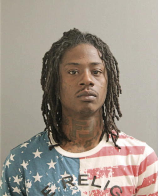 GREGORY L STEWART, Cook County, Illinois