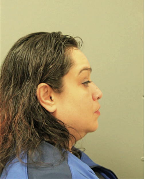 ANNA J VASQUEZ, Cook County, Illinois
