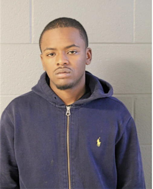 DAVID D VILLANUEVA, Cook County, Illinois