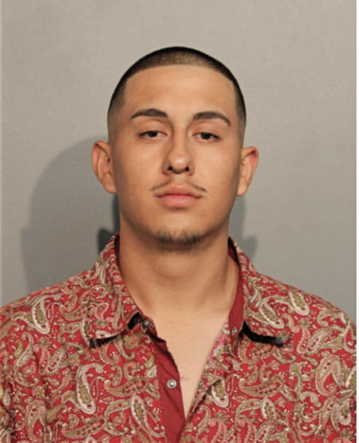 ESTEBAN VILLARREAL, Cook County, Illinois