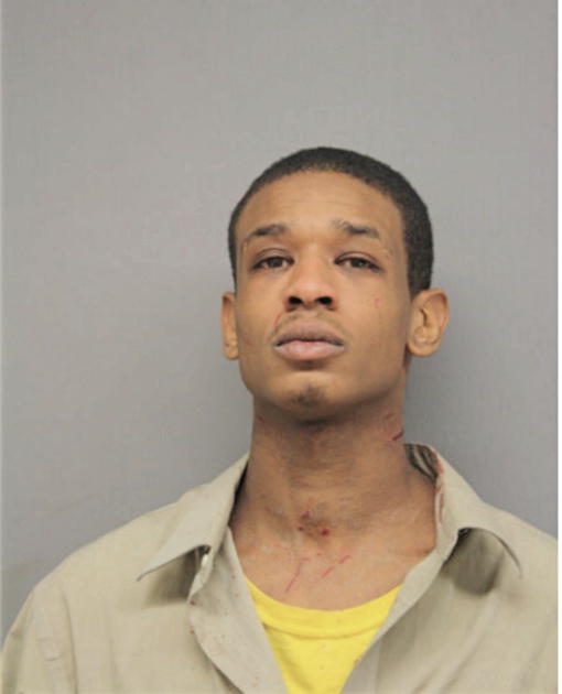 BRIAN A WALLACE, Cook County, Illinois