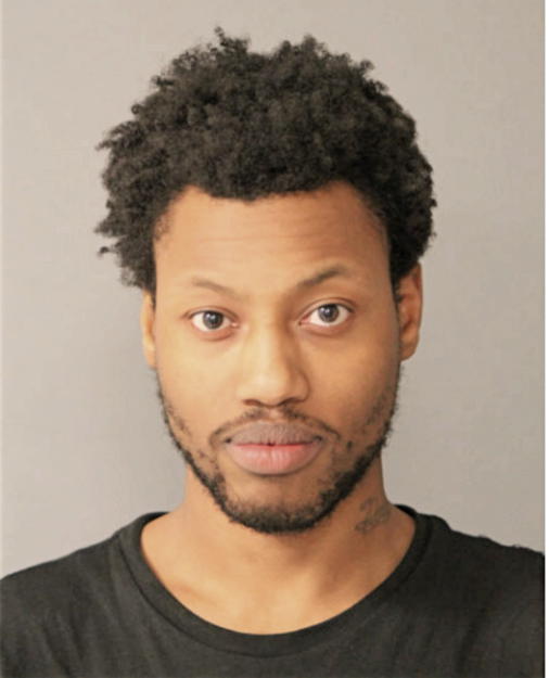 DEZHMOND L YOUNG, Cook County, Illinois