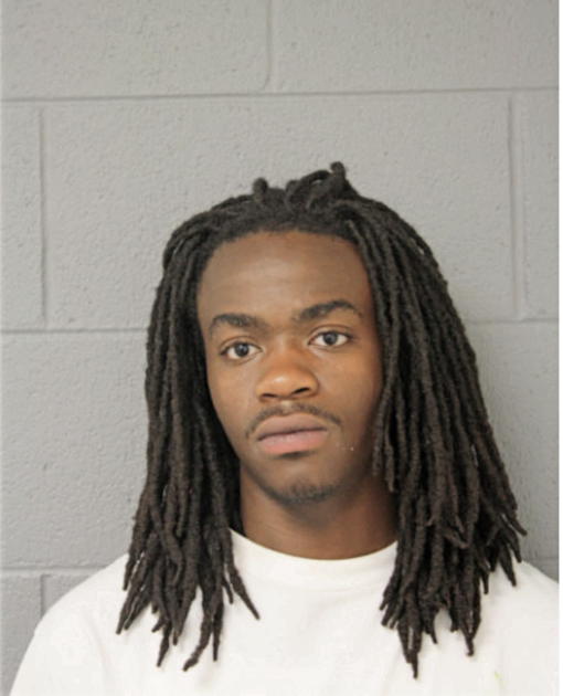 AARON M ADENIYI, Cook County, Illinois