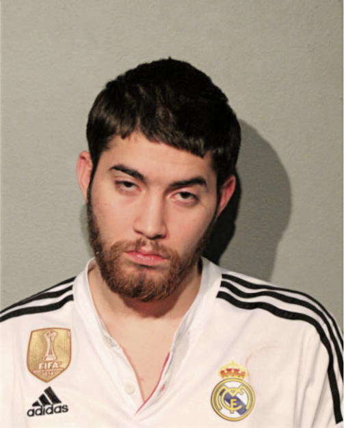 DAVID H ALDRICH, Cook County, Illinois