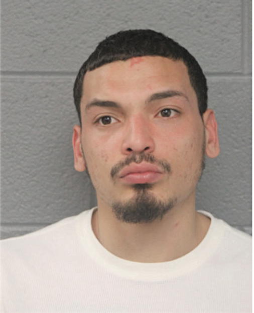 HECTOR G ALVAREZ, Cook County, Illinois