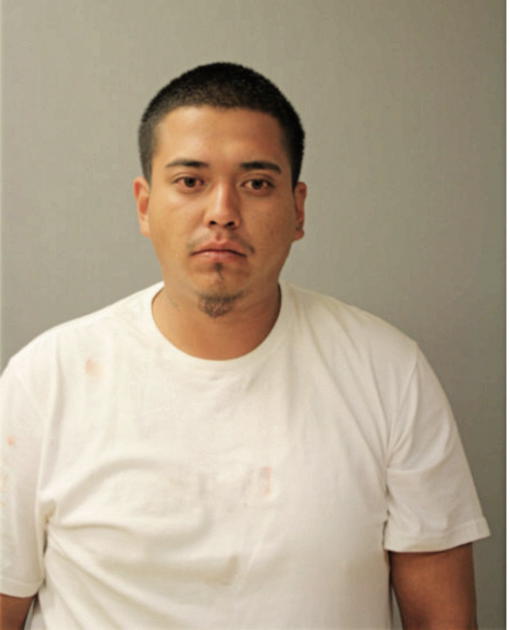 OSCAR BAHENA, Cook County, Illinois