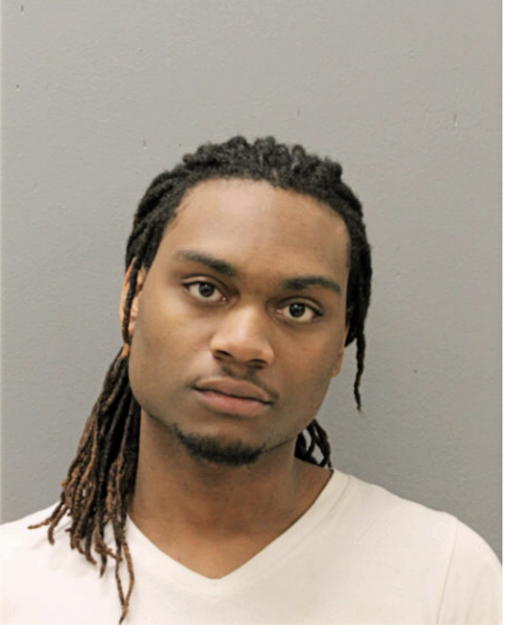 LAWRENCE J DAVIS, Cook County, Illinois