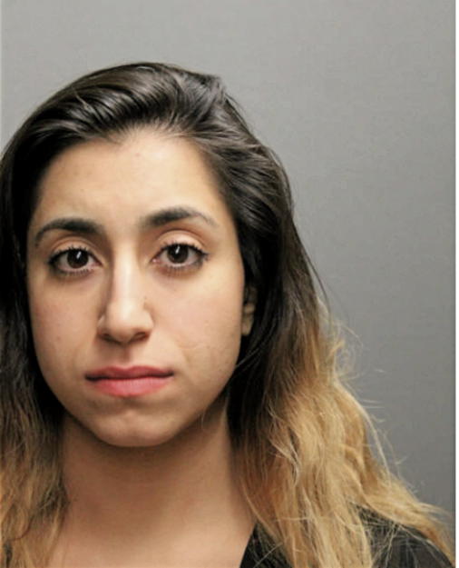 MICHELLE M DISTASIO, Cook County, Illinois