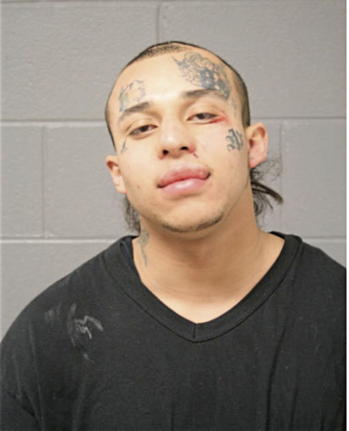 NOEL DOMINGUEZ, Cook County, Illinois