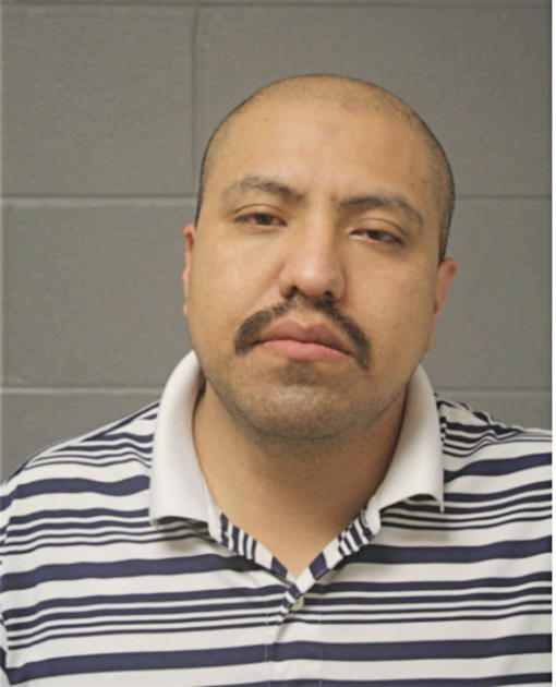 LUIS M FIGUEROA, Cook County, Illinois