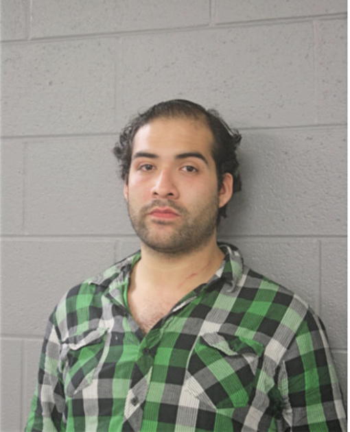 DAVID G GALVAN, Cook County, Illinois