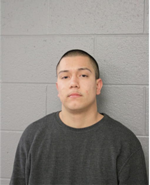 GUSTAVO GONZALEZ, Cook County, Illinois