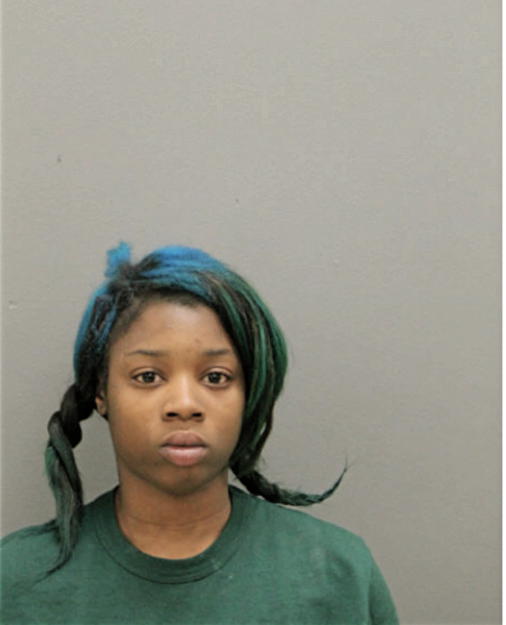 SHEKINA S HOLLIS, Cook County, Illinois