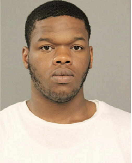 ROBERT E HUDDLESTON, Cook County, Illinois