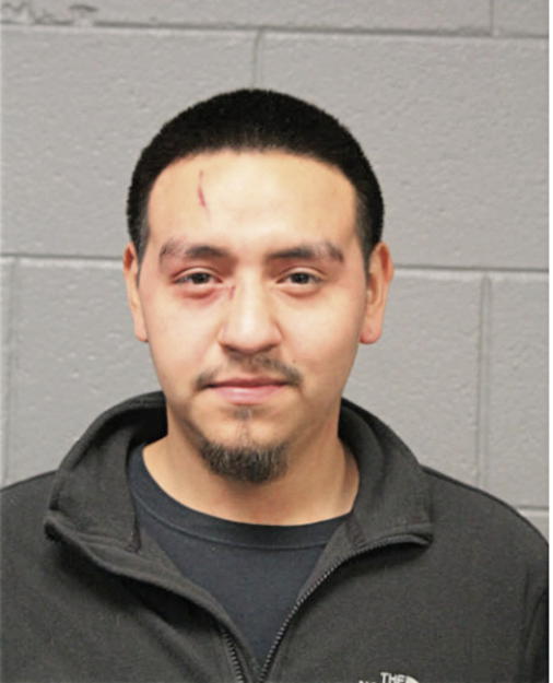 BRYANT S JAIME, Cook County, Illinois
