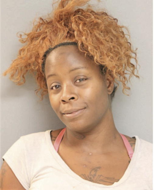 LEONA F JONES, Cook County, Illinois