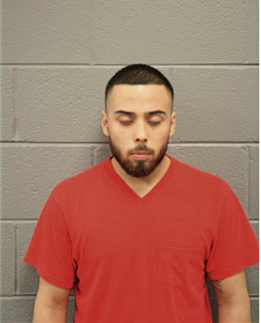 DAVID LOERA, Cook County, Illinois