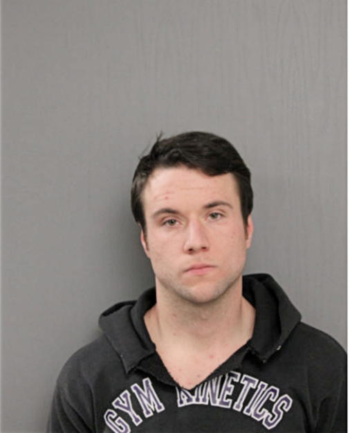 CHARLES W LYONS, Cook County, Illinois