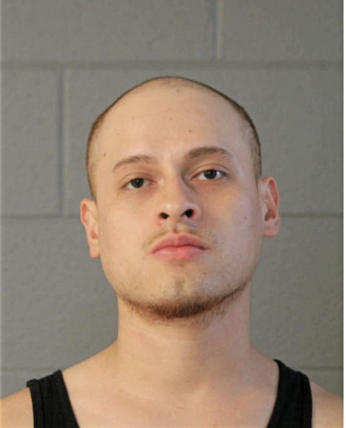 FABIAN MAGDALENO, Cook County, Illinois