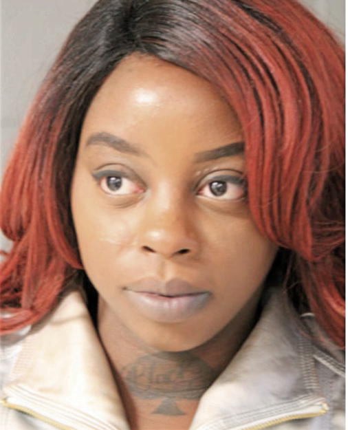 LASHONDA R MCCLINTON, Cook County, Illinois