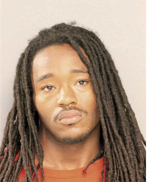 SEAN R NICHOLS, Cook County, Illinois