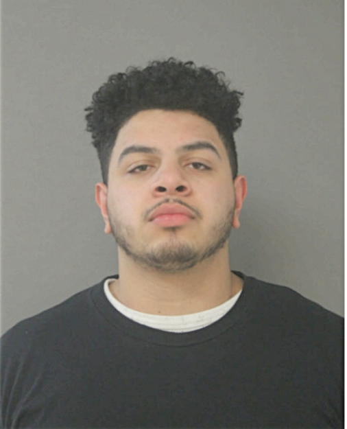 DAVID O OTT, Cook County, Illinois