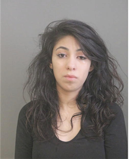 JENNIFER SCHMIDT, Cook County, Illinois