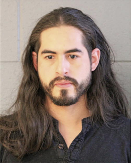 ENRIQUE SERNA, Cook County, Illinois