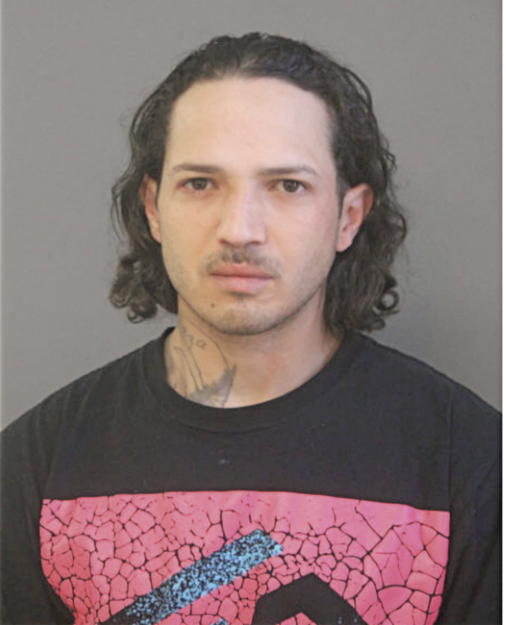 CHRISTIAN M SIERRA MONTERO, Cook County, Illinois