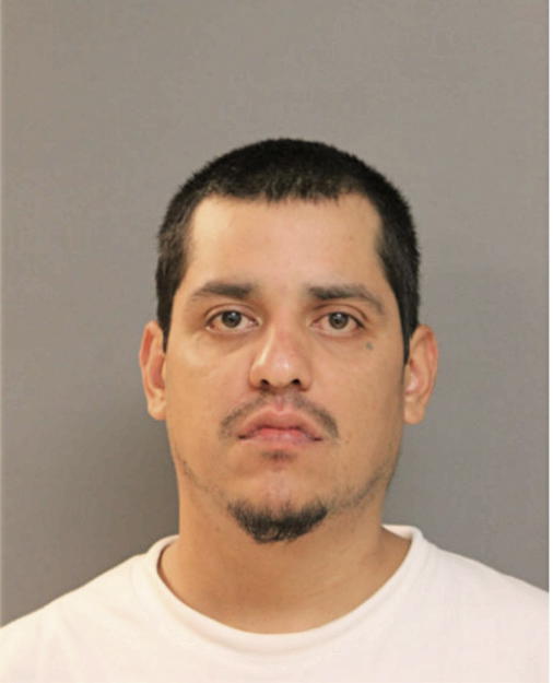 MARCO TAMAYO, Cook County, Illinois
