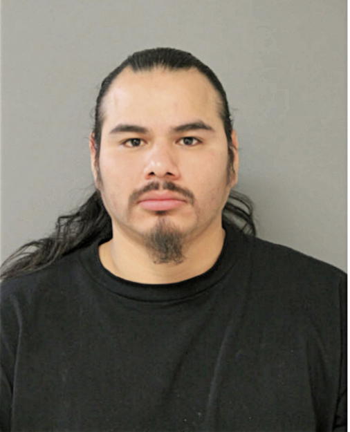 ADDINSON R VARELA, Cook County, Illinois