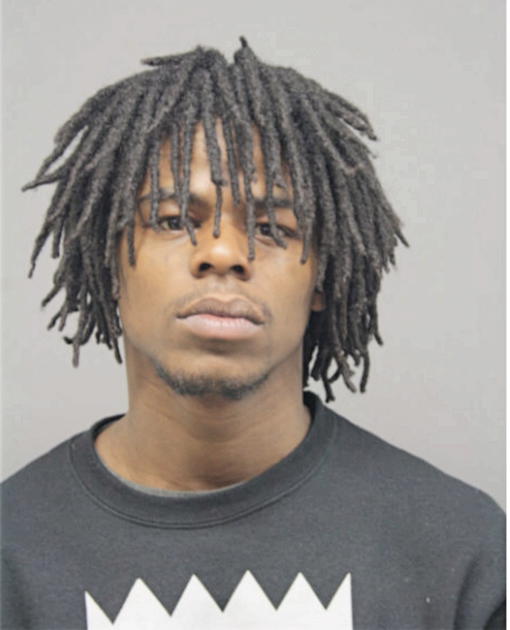 JAMES A WHITE, Cook County, Illinois