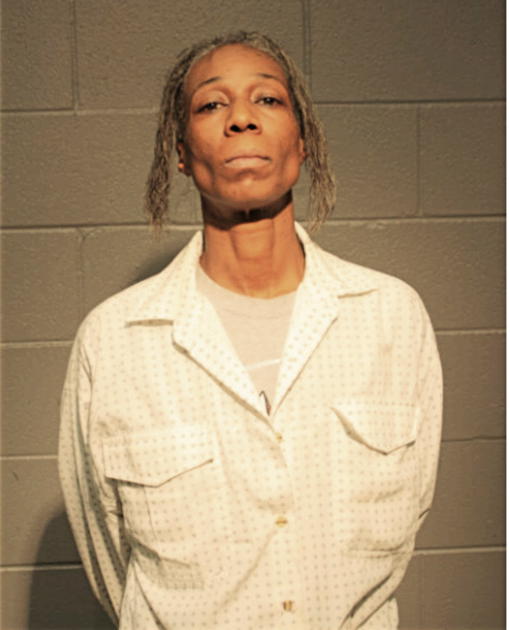 MICHELLE J WHITE, Cook County, Illinois