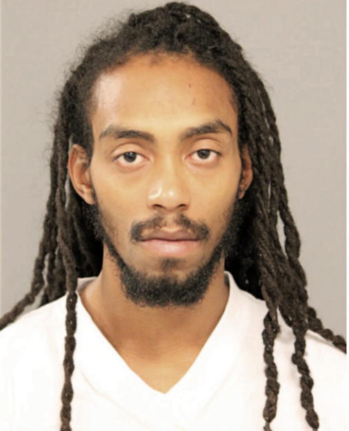 JESSE J WILLIAMS, Cook County, Illinois