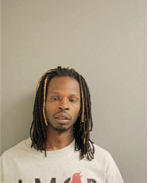 MICHAEL A WILLIAMS, Cook County, Illinois