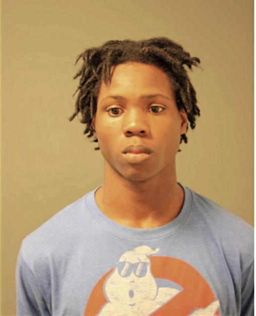CHRISTOPHER D WOODARD, Cook County, Illinois