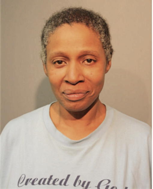 KAREN A HANEY, Cook County, Illinois