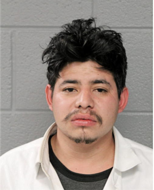 IRINEO ALBARRAN, Cook County, Illinois