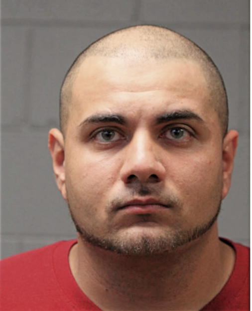 JOSEPH M BIGGIO, Cook County, Illinois
