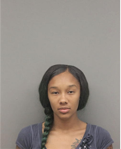 NATASHA J BURGESS, Cook County, Illinois